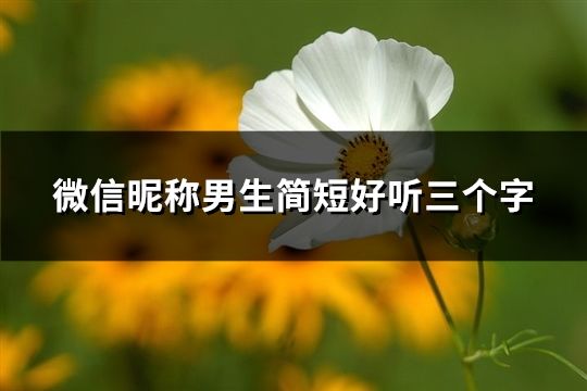 微信昵稱男生簡短好聽三個字(共90個)