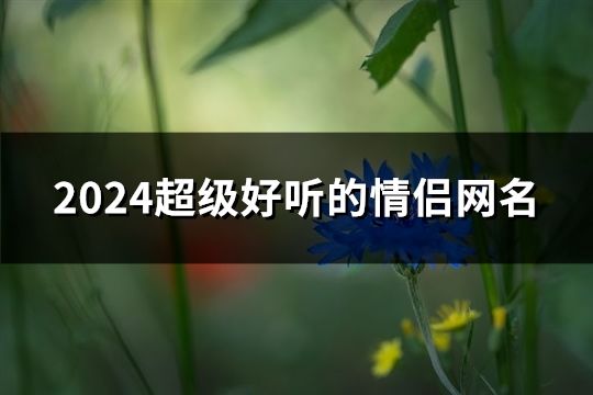 2024超級好聽的情侶網名(200個)
