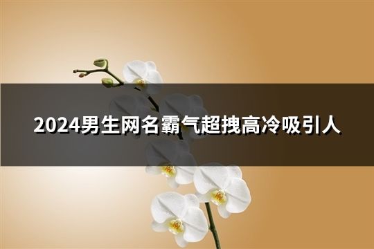 2024男生網名霸氣超拽高冷吸引人(精選105個)