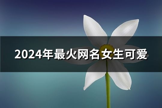 2024年最火網名女生可愛(共78個)