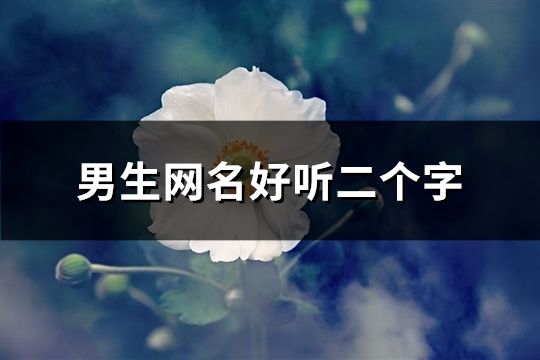 男生網名好聽二個字(293個)