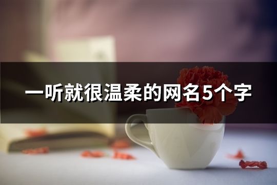 一聽就很溫柔的網名5個字(共168個)