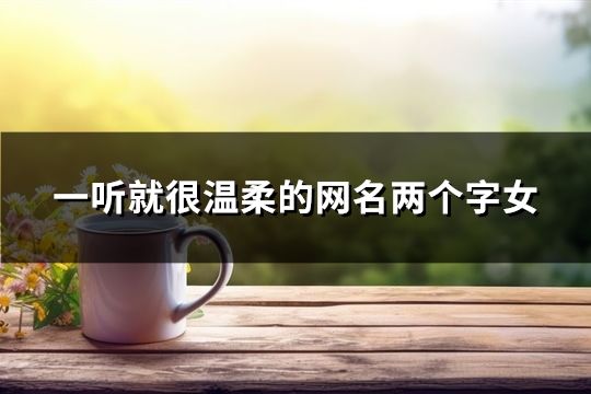 一聽(tīng)就很溫柔的網(wǎng)名兩個(gè)字女(共84個(gè))