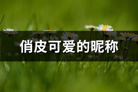 俏皮可愛(ài)的昵稱(共80個(gè))