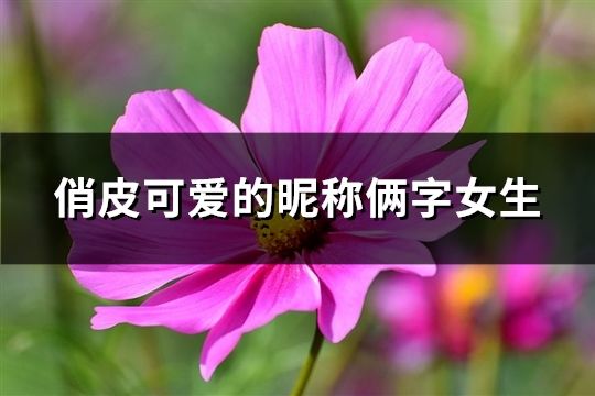 俏皮可愛的昵稱倆字女生(精選248個)
