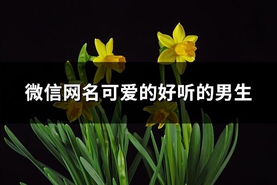 微信網名可愛的好聽的男生(101個)