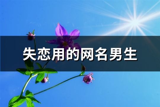 失戀用的網名男生(精選223個)