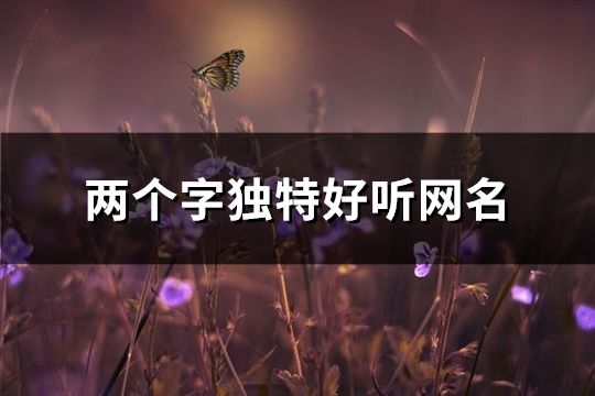 兩個(gè)字獨(dú)特好聽網(wǎng)名(精選183個(gè))