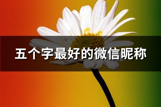 五個字最好的微信昵稱(精選293個)