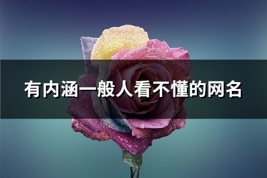 有內涵一般人看不懂的網名(共64個)