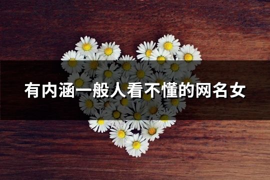 有內(nèi)涵一般人看不懂的網(wǎng)名女(共97個)