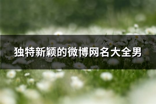 獨特新穎的微博網名大全男(共110個)