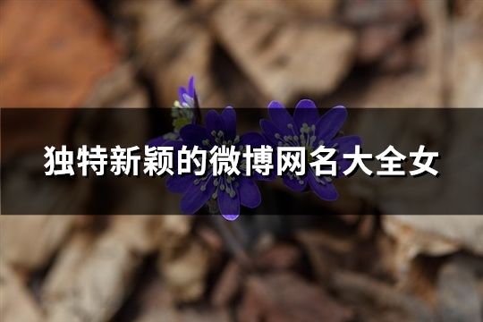獨特新穎的微博網名大全女(精選107個)