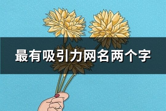 最有吸引力網名兩個字(精選87個)