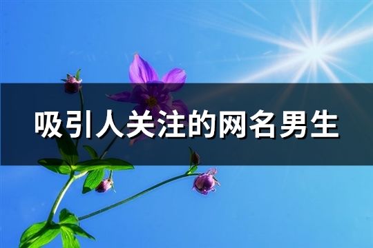 吸引人關注的網名男生(精選174個)