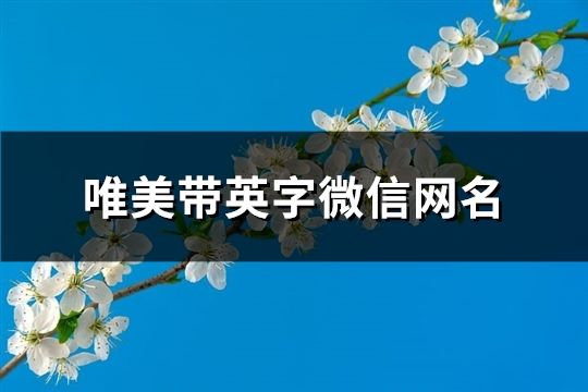 唯美帶英字微信網(wǎng)名(精選113個(gè))