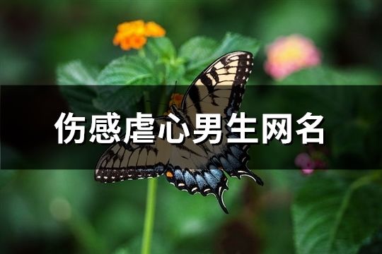 傷感虐心男生網名(102個)