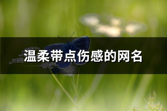 溫柔帶點傷感的網名(183個)