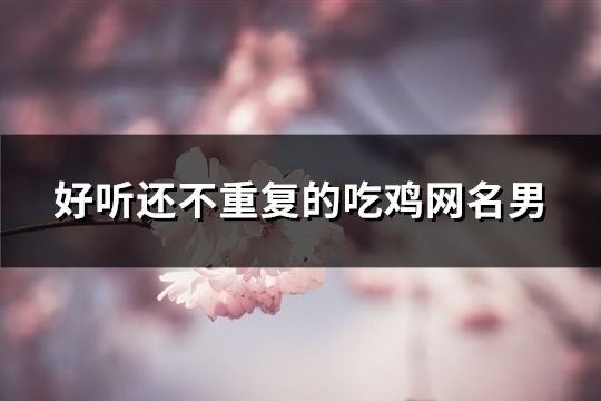 好聽還不重復的吃雞網名男(共164個)
