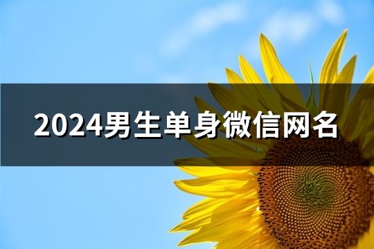2024男生單身微信網(wǎng)名(87個)