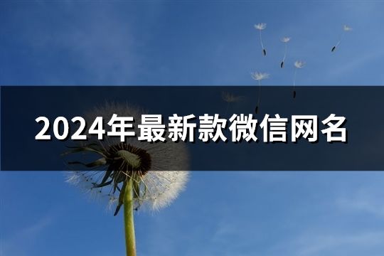 2024年最新款微信網名(88個)