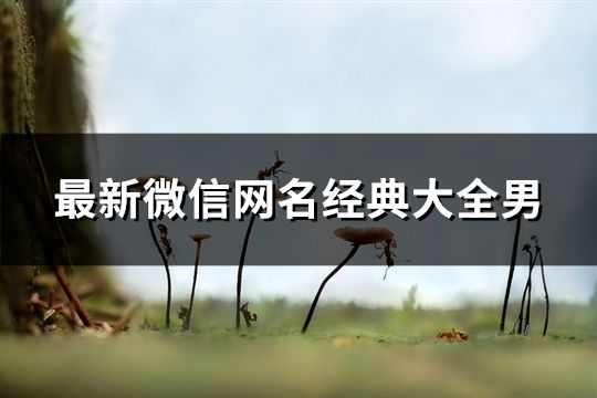 最新微信網名經典大全男(210個)