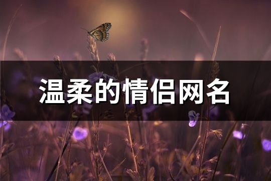 溫柔的情侶網(wǎng)名(96個)