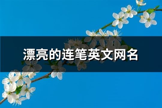 漂亮的連筆英文網名(精選182個)