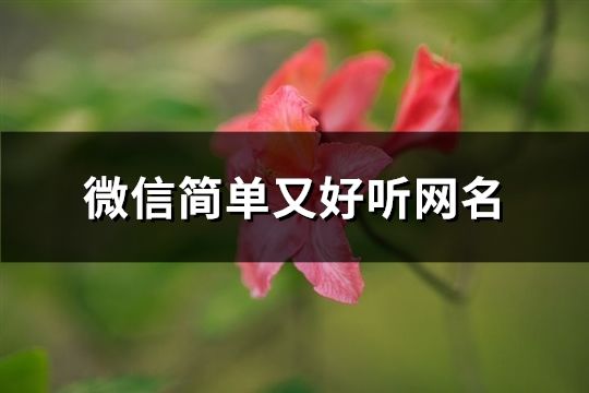 微信簡單又好聽網名(共74個)