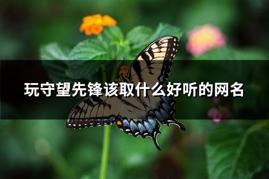 玩守望先鋒該取什么好聽的網(wǎng)名(141個(gè))