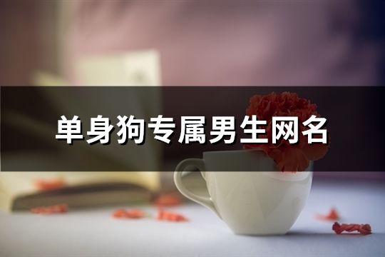 單身狗專屬男生網名(共190個)