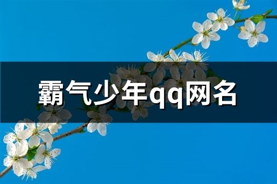 霸氣少年qq網(wǎng)名(精選96個)