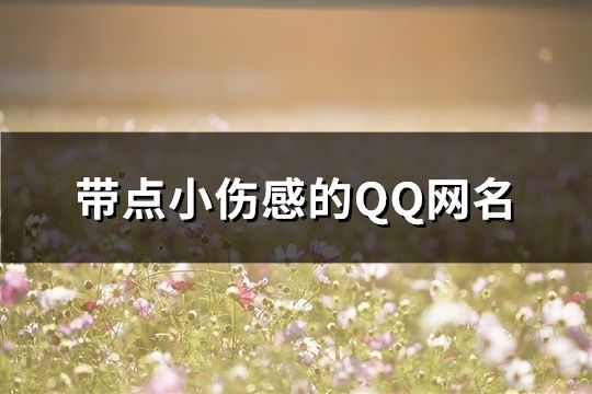 帶點小傷感的QQ網名(精選197個)