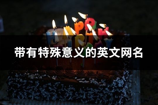 帶有特殊意義的英文網(wǎng)名(精選145個(gè))