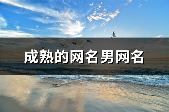 成熟的網名男網名(精選65個)
