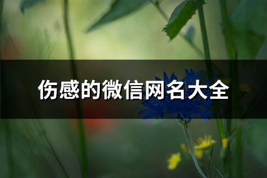 傷感的微信網名大全(共141個)