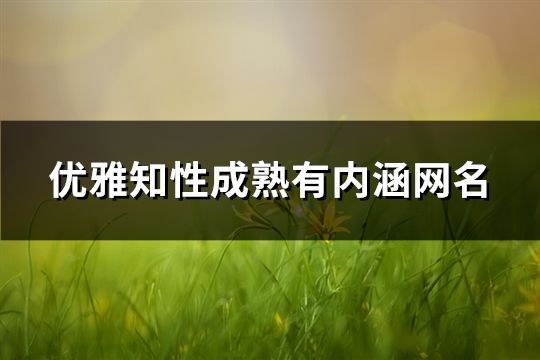 優雅知性成熟有內涵網名(精選1***個)