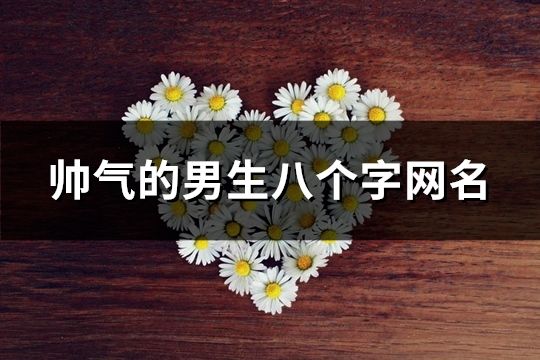 帥氣的男生八個字網名(197個)