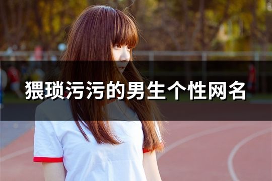 猥瑣污污的男生個性網(wǎng)名(71個)