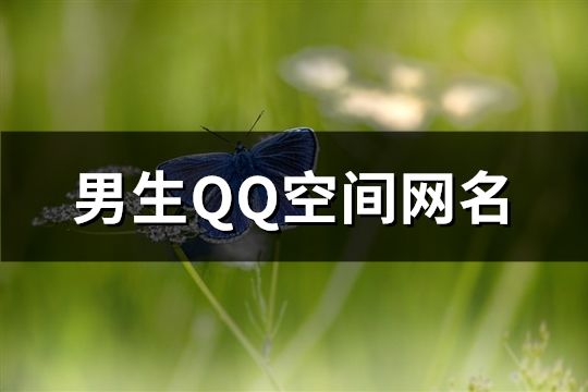 男生QQ空間網名(113個)
