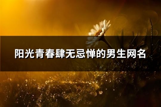 陽光青春肆無忌憚的男生網名(195個)
