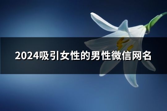 2024吸引女性的男性微信網名(精選168個)