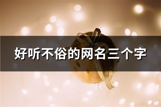 好聽不俗的網名三個字(115個)