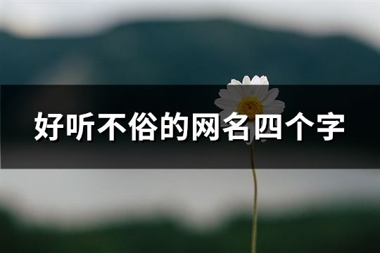 好聽不俗的網(wǎng)名四個(gè)字(共107個(gè))