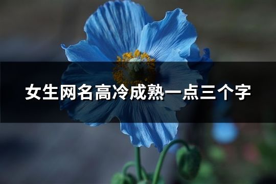 女生網名高冷成熟一點三個字(精選153個)