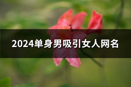 2024單身男吸引女人網名(143個)