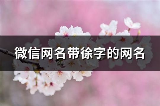 微信網(wǎng)名帶徐字的網(wǎng)名(共167個)