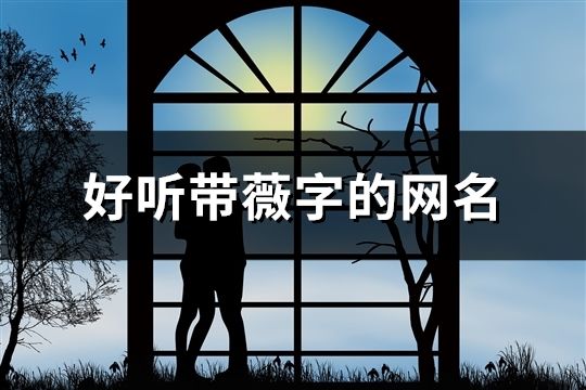 好聽帶薇字的網名(精選70個)
