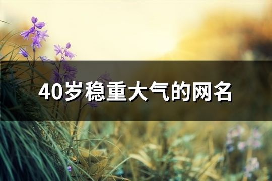 40歲穩(wěn)重大氣的網(wǎng)名(199個(gè))