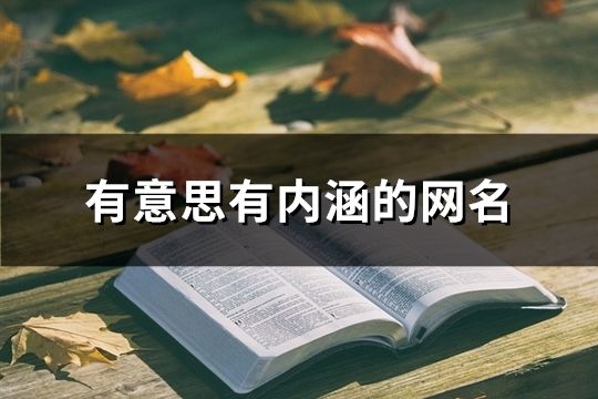 有意思有內涵的網名(共94個)